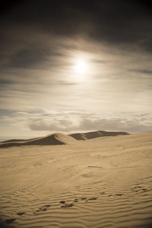 Te Paki Sand Dunes, Cape Reinga, 2019