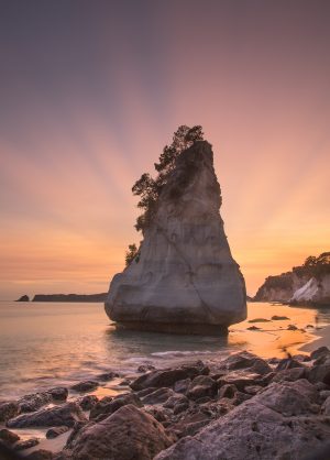 First morning light, Cathedral Cove, 2020